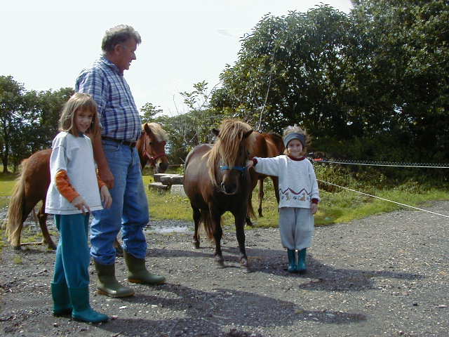 Der Mädchentraum - ein Pferd